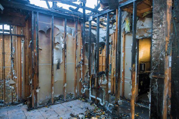 Professional Fire Damage Repair technician working in Brentwood, MD